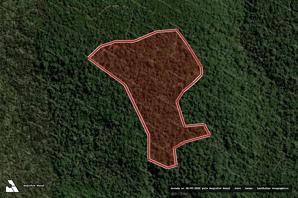Imagem de satélite de Infração da Flora em Bituruna - PR