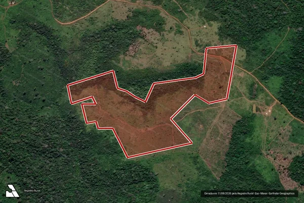 Imagem de satélite de Infração da Flora em Itaituba - PA