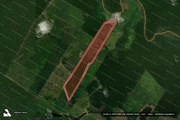 Imagem de satélite de Infração Ambiental em Porto Velho - RO