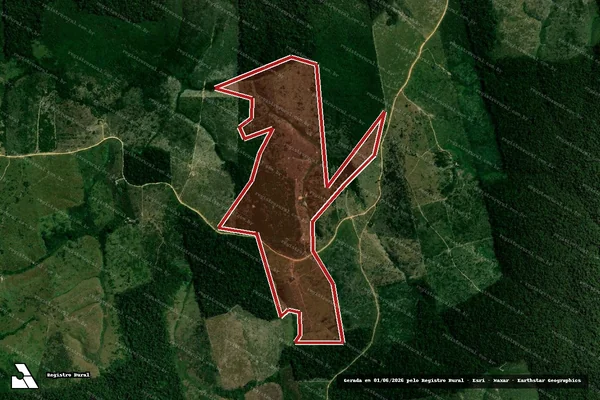Imagem de satélite de Infração Ambiental em Portel - PA