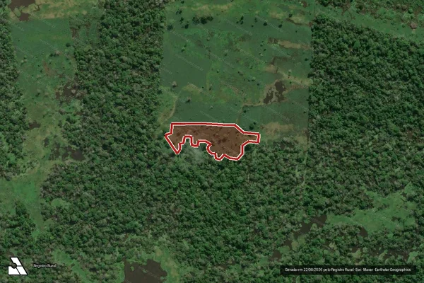 Imagem de satélite de Infração da Flora em Careiro da Várzea - AM