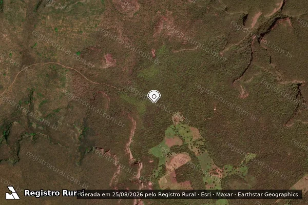 Imagem de satélite — Embargo Ambiental — Curimatá/PI