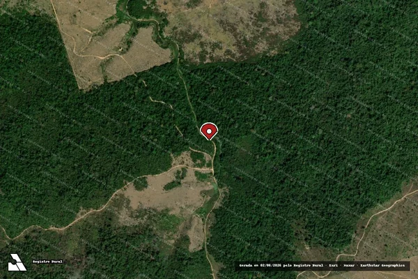 Imagem de satélite de Infração da Flora em Uruará - PA (marcador da localização)