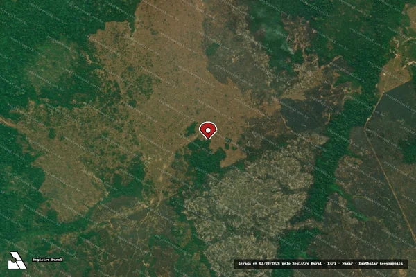 Imagem de satélite de Desmatamento em Boca do Acre - AM (marcador da localização)