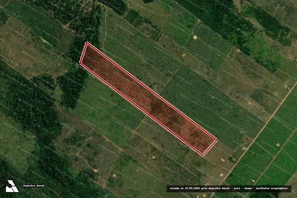 Imagem de satélite de Infração da Flora em Porto Velho - RO