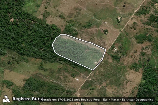 Imagem de satélite — Embargo IBAMA — Infração da Flora - São Félix do Xingu/PA