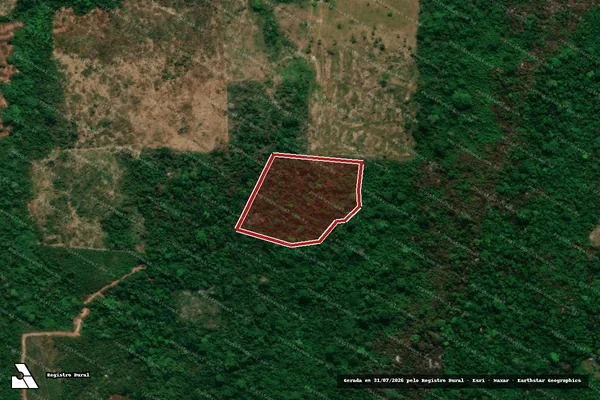 Imagem de satélite — Embargo IBAMA — Infração da Flora - São Félix Do Xingu/PA