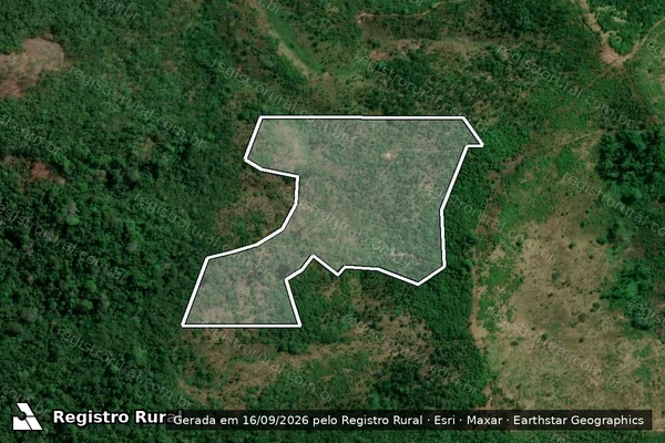 Imagem de satélite de Infração da Flora em Pacajá - PA