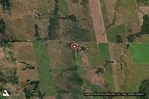 Imagem de satélite de Infração da Flora em Nova Bandeirantes - MT (marcador da localização)