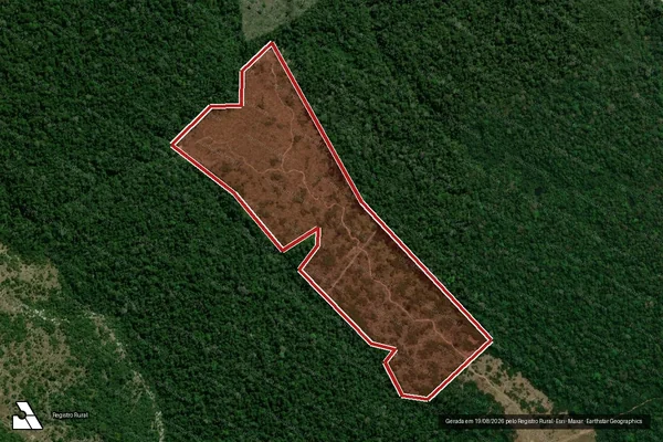Imagem de satélite de Infração da Flora em Porto Velho - RO