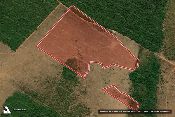 Imagem de satélite de Infração Ambiental em São Félix do Araguaia - MT