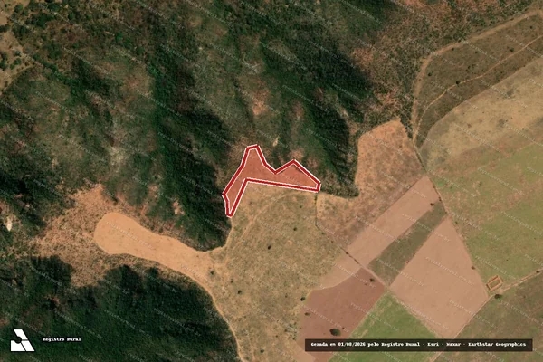 Imagem de satélite — Embargo IBAMA — Infração da Flora — Mambaí/GO