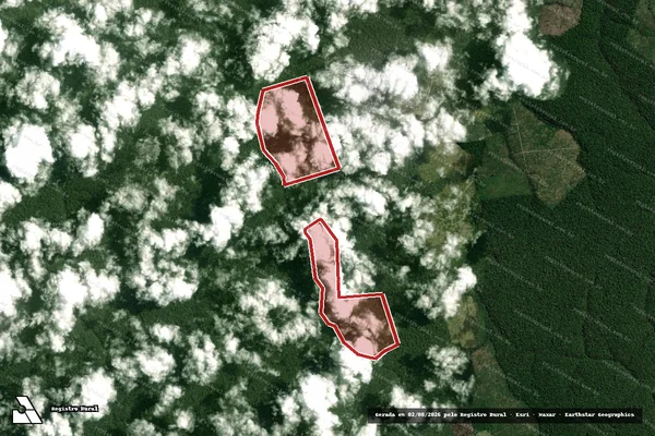 Imagem de satélite de Infração da Flora em Portel - PA