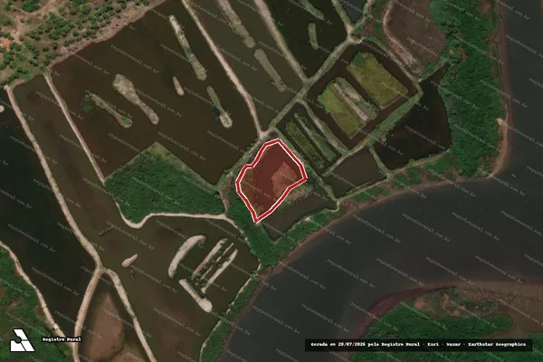 Imagem de satélite — Embargo IBAMA — Infração da Flora - Brejo Grande/SE