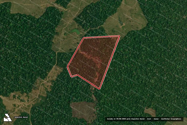 Imagem de satélite de Infração da Flora em Feijó - AC