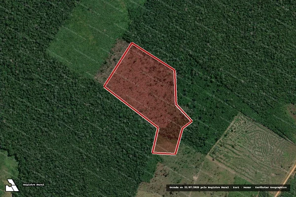 Imagem de satélite de Infração Ambiental em Tapauá - AM