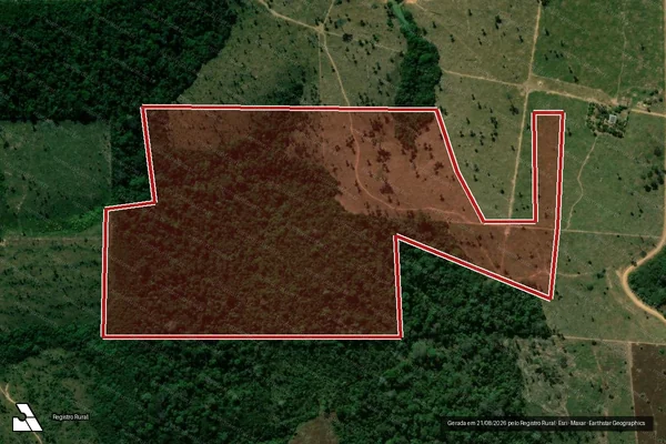 Imagem de satélite de Infração da Flora em Machadinho D'Oeste - RO