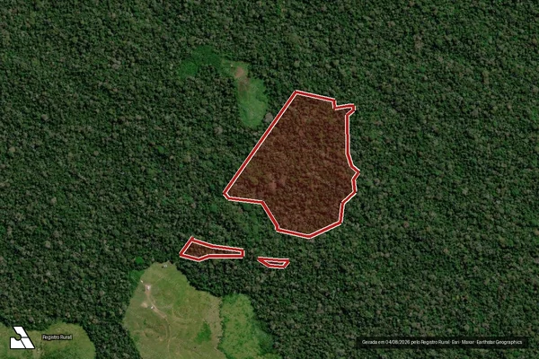 Imagem de satélite de Infração da Flora em Feijó - AC