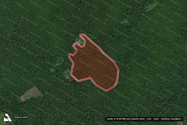 Imagem de satélite de Infração da Flora em Óbidos - PA
