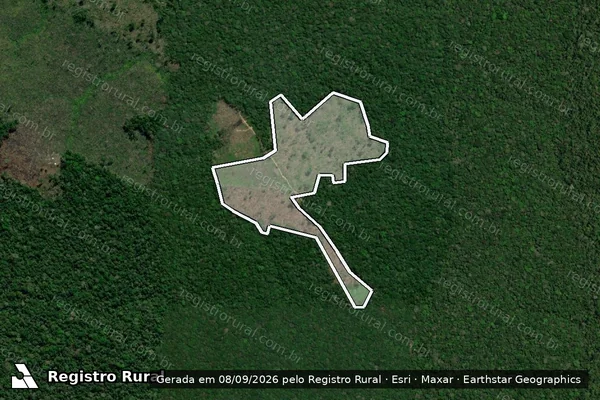 Imagem de satélite de Infração Ambiental em Apuí - AM