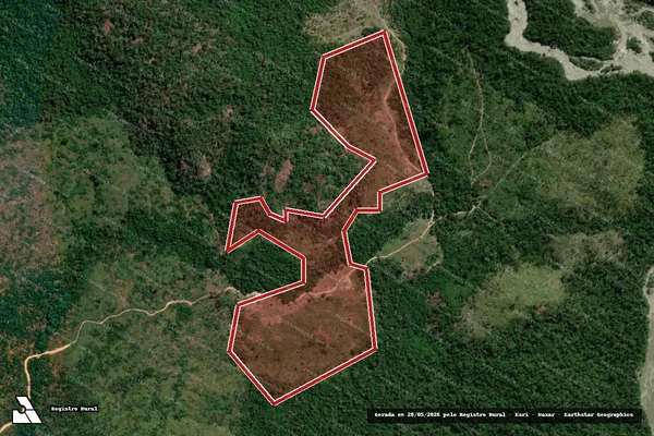 Imagem de satélite de Infração da Flora em Apiacás - MT