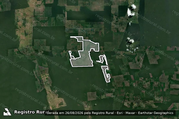 Imagem de satélite de Infração da Flora em Lábrea - AM