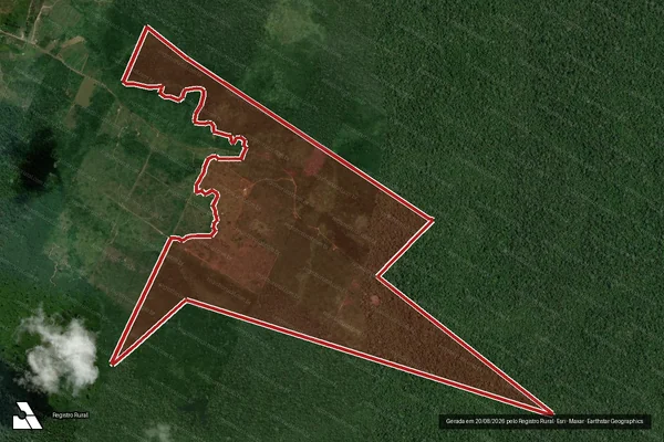 Imagem de satélite de Infração Ambiental em Rorainópolis - RR