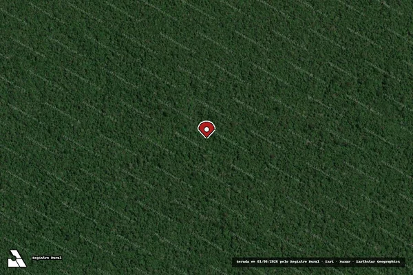 Imagem de satélite — Embargo IBAMA — Infração da Flora - Autazes/AM