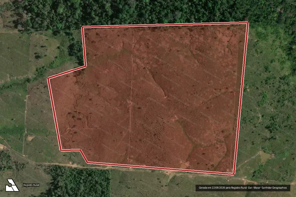 Imagem de satélite de Infração da Flora em Boca do Acre - AM