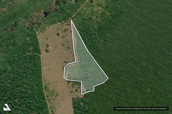 Imagem de satélite de Infração da Flora em Parintins - AM