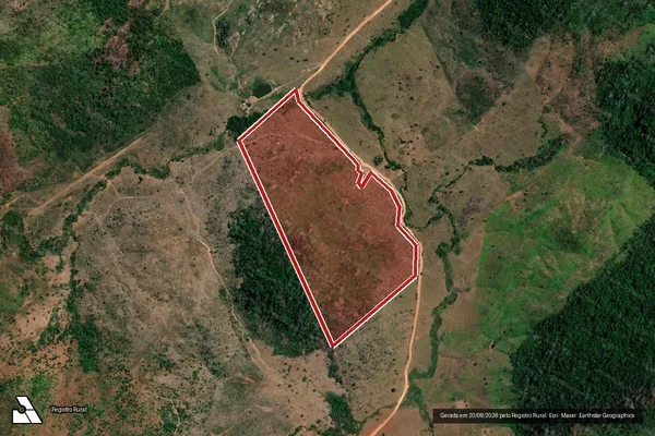 Imagem de satélite de Infração da Flora em São Félix do Xingu - PA