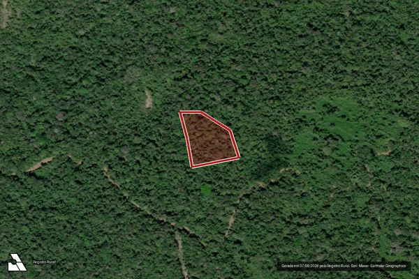 Imagem de satélite de Infração da Flora em Caracaraí - RR