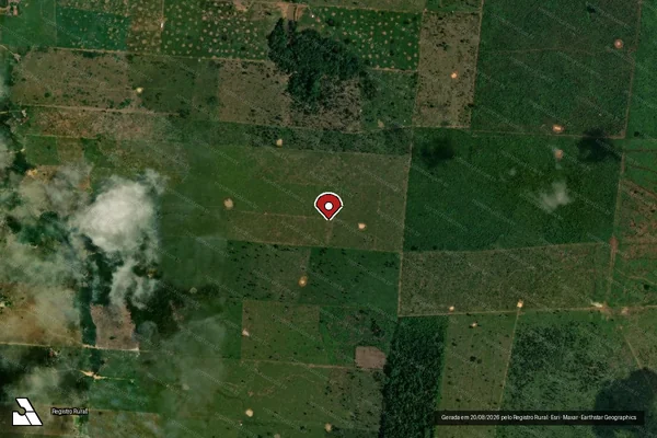 Imagem de satélite de Infração da Flora em Porto Velho - RO (marcador da localização)
