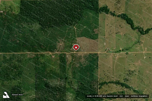 Imagem de satélite de Desmatamento em Porto Velho - RO (marcador da localização)