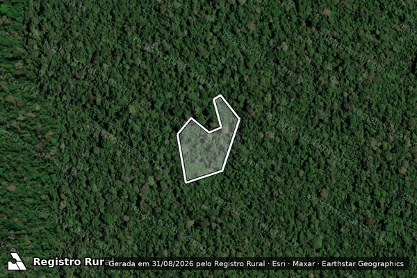 Imagem de satélite de Infração Ambiental em Novo Aripuanã - AM