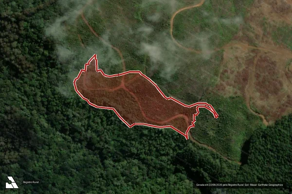 Imagem de satélite de Infração Ambiental em Bituruna - PR