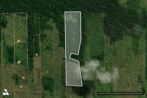 Imagem de satélite de Infração da Flora em Porto Velho - RO
