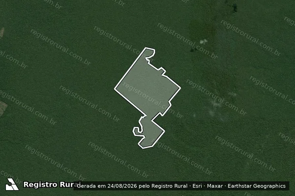 Imagem de satélite de Infração Ambiental em Humaitá - AM