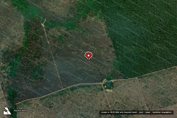 Imagem de satélite de Infração da Flora em Novo Progresso - PA (marcador da localização)