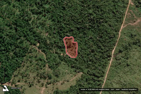 Imagem de satélite de Infração da Flora em Paranaíta - MT