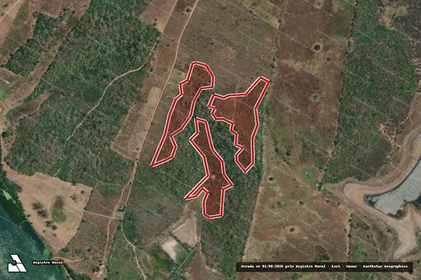 Imagem de satélite — Embargo Ambiental — Igreja Nova/AL