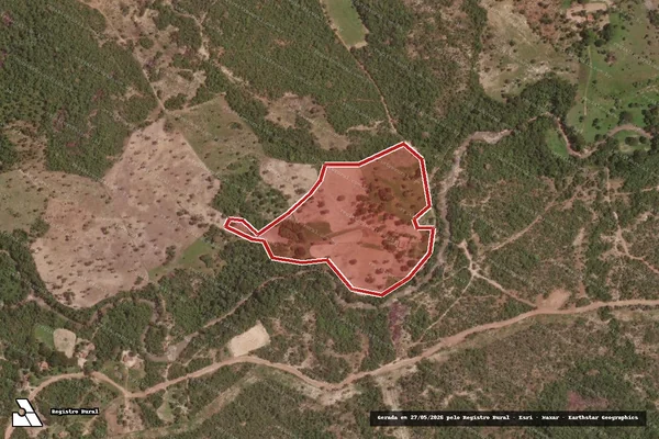 Imagem de satélite de Infração da Flora em Teresina de Goiás - GO