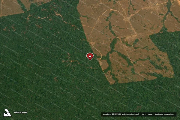Imagem de satélite de Infração da Flora em Apiacás - MT (marcador da localização)