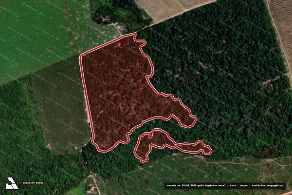 Imagem de satélite — Embargo Ambiental — Tailândia/PA