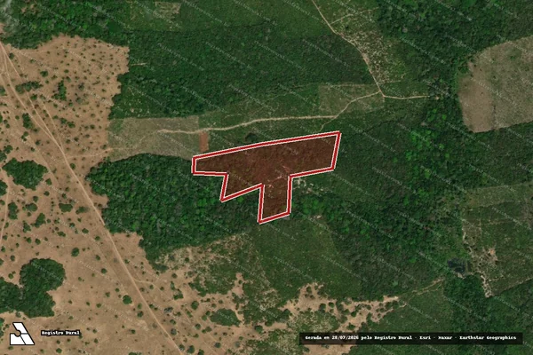 Imagem de satélite de Infração Ambiental em Santarém - PA