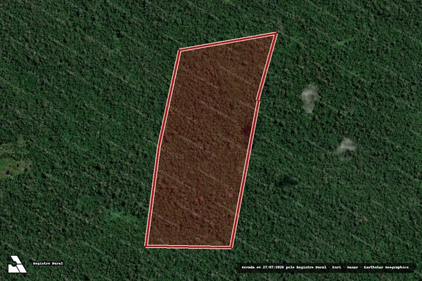 Imagem de satélite de Infração Ambiental em Senador José Porfírio - PA