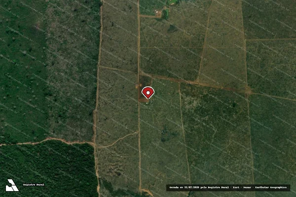 Imagem de satélite de Infração da Flora em Lábrea - AM (marcador da localização)