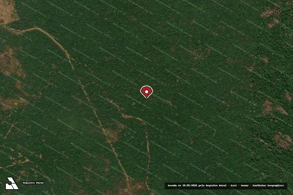 Imagem de satélite de Infração da Flora em Apiacás - MT (marcador da localização)