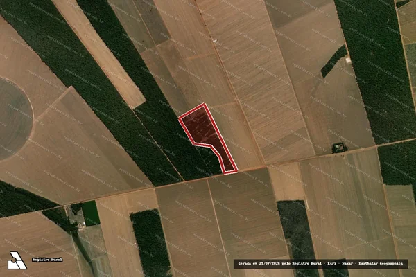Imagem de satélite de Infração da Flora em Gaúcha do Norte - MT