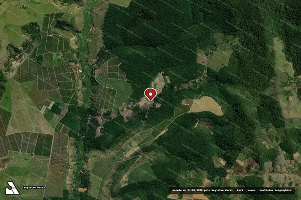 Imagem de satélite de Infração da Flora em Prado - BA (marcador da localização)